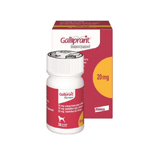 galliprant 20mg