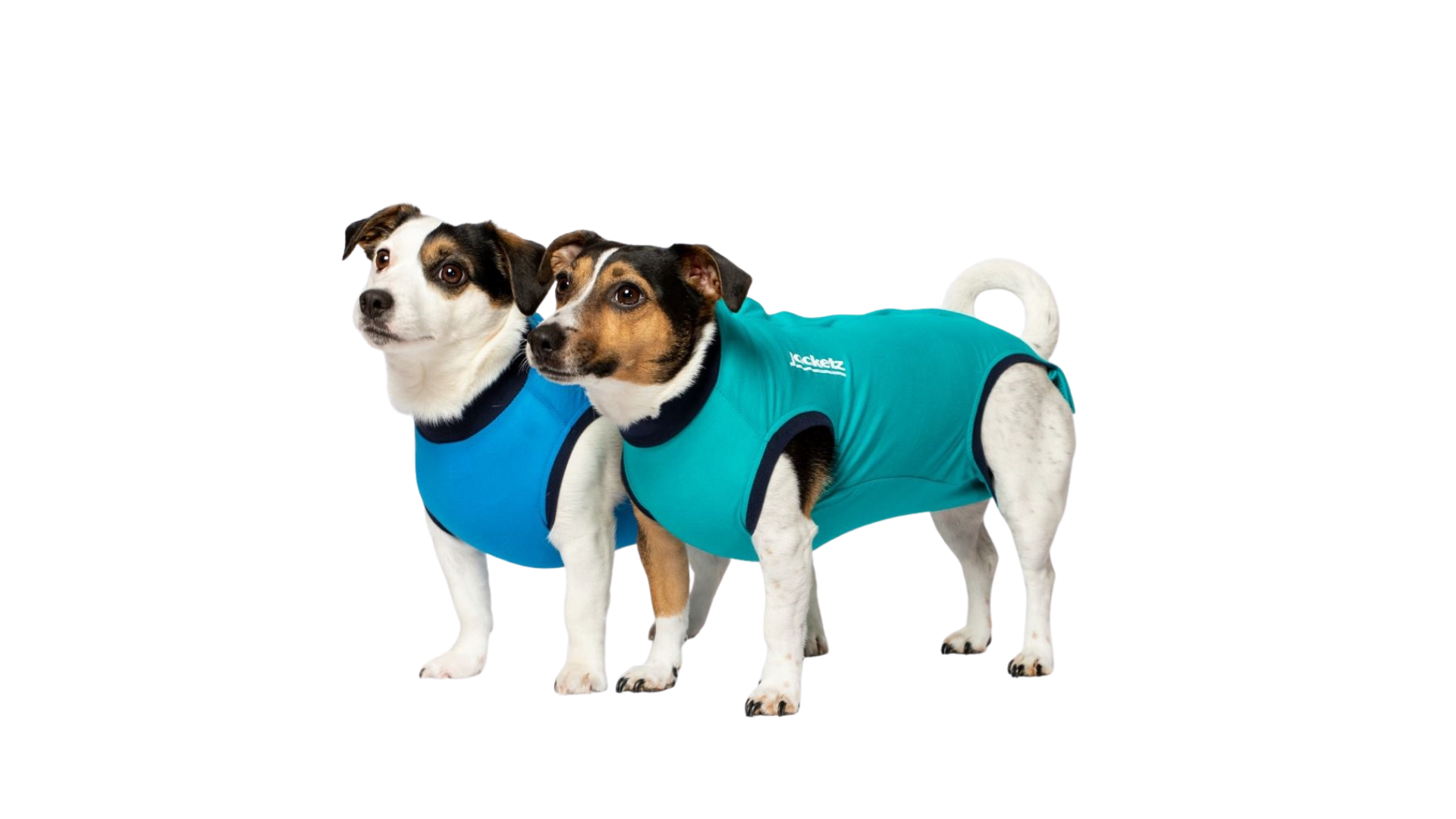 Jacketz® Medical Body Suit voor honden / Maat M / Middel kleine hond